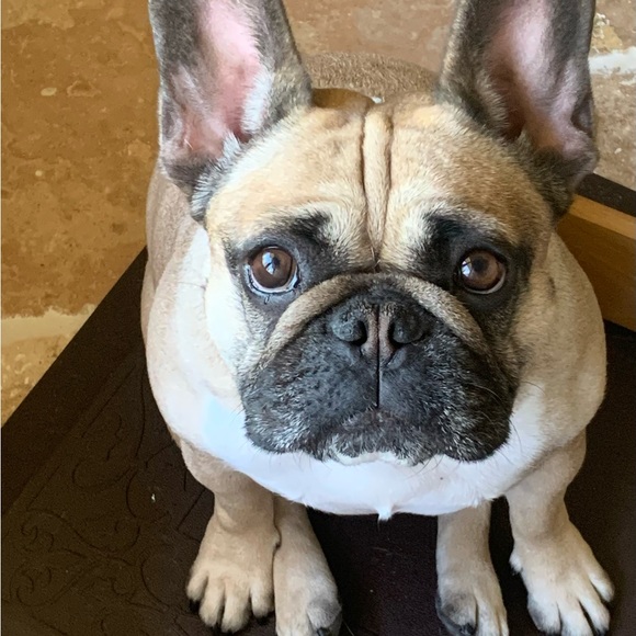 Meet your Posher, Chrissy - Picture 8 of 8